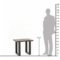 Sheesham Wood Lamp Table with Sleek Metal Legs