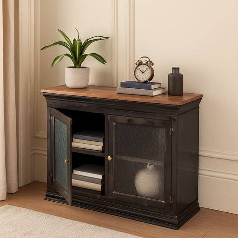 Dilan Industrial Mango Wood & Glass 2-Door Cabinet