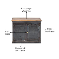 Dilan Industrial Mango Wood & Glass 2-Door Cabinet
