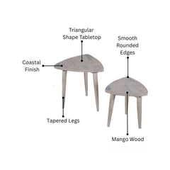 Parola Sheesham Wood Nesting Table Set