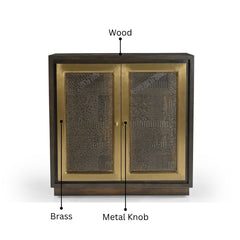 Dianda 2-Door Cabinet with Brass-Toned Frame