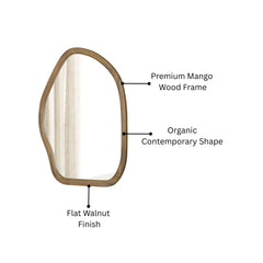 Modern Wooden Organic Shape Wall Mirror — Mango Wood Frame, Flat Walnut Finish