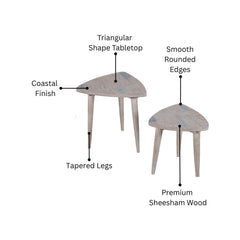 Parola Sheesham Wood Nesting Table Set