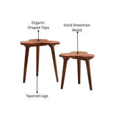 Korsvik Sheesham Wood Nesting Table Set