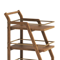 Axton Mango Wood & Metal Serving Trolley