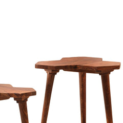 Korsvik Sheesham Wood Nesting Table Set