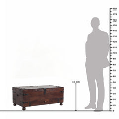 Tahoe Rustic Sheesham Wood Cocktail Trunk