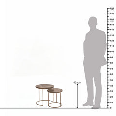 Edra Dark Mango Wood Nesting Side Tables