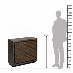 Naveen 2-Door Mango Wood Inlay Cabinet