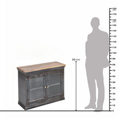 Dilan Industrial Mango Wood & Glass 2-Door Cabinet