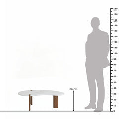 Modern Marble Top Coffee Table with Wooden Legs