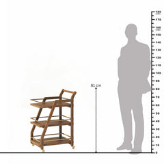 Axton Mango Wood & Metal Serving Trolley