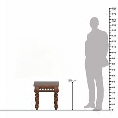 Rani Sheesham Wood Lamp Table