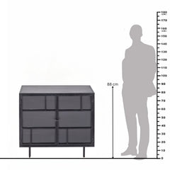 Fergus 2-Door Cabinet in Mango Wood, Glass & Iron