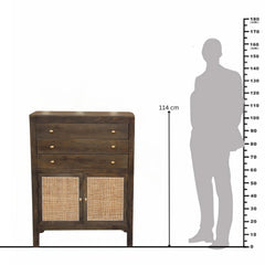 Rhys Mango Wood Cane Storage Chest