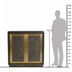 Dianda 2-Door Cabinet with Brass-Toned Frame