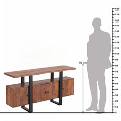 Modern Industrial Sheesham Wood Media Unit